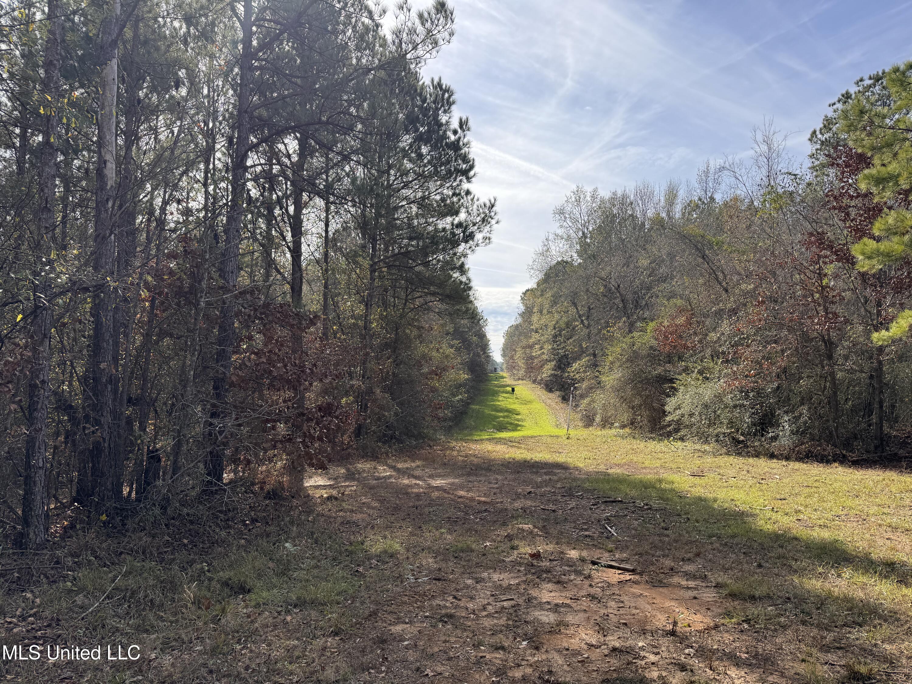 4 Whiddon Road Canton, MS 39046 - Photo 32 of 45 IMG_1646