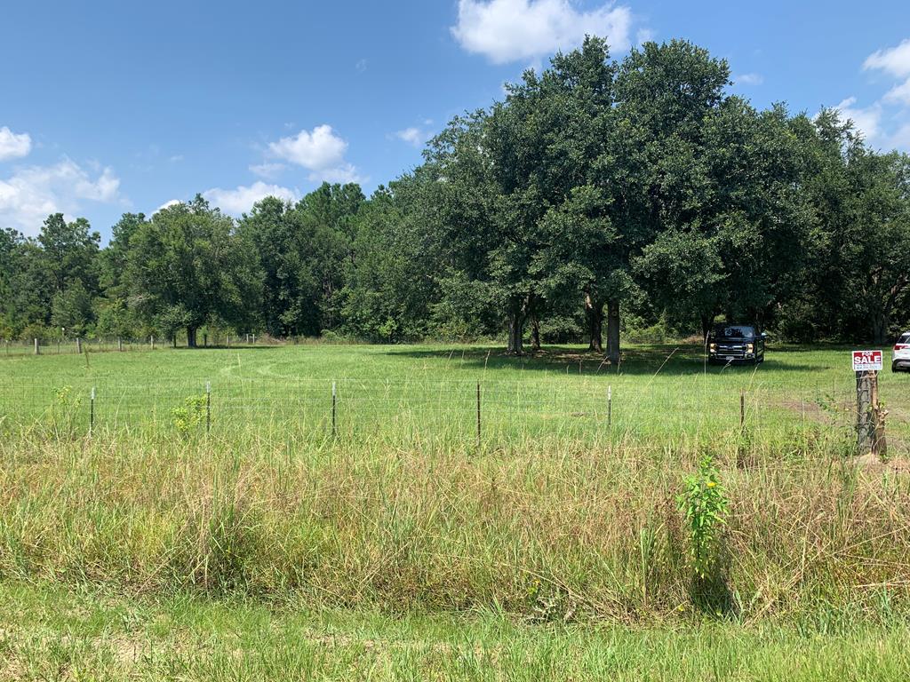 Cc Doc Whitfield Road Wewahitchka, FL 32465 - Photo 1 of 8