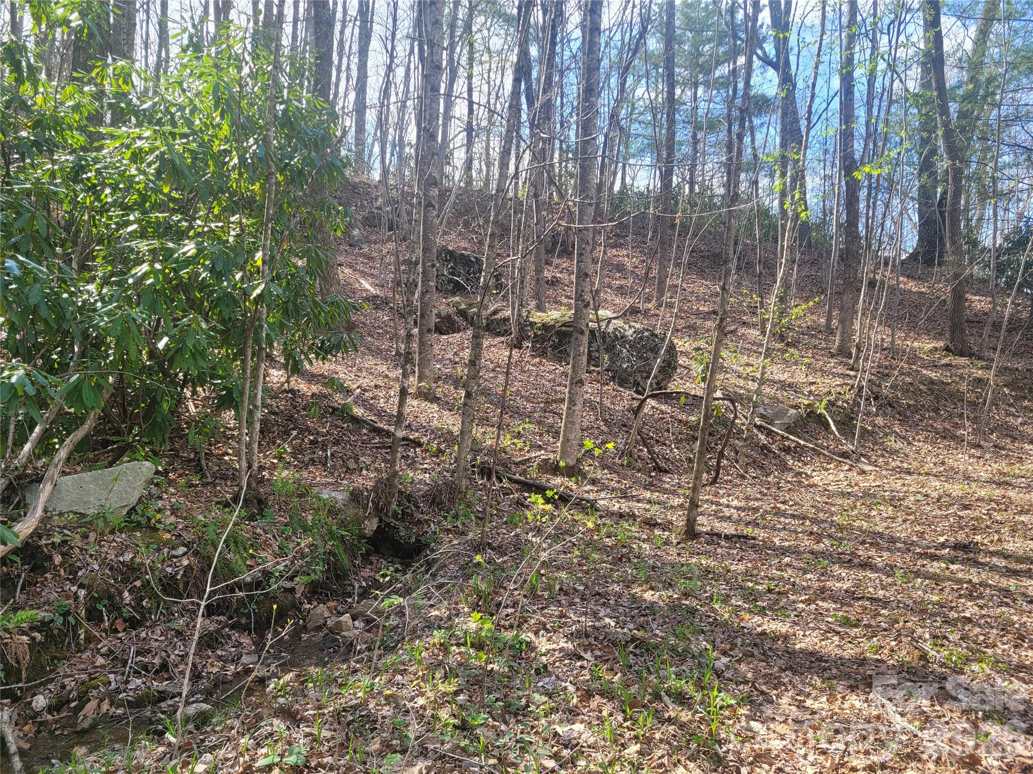 9999 Lytle Cove Road Swannanoa, NC 28778 - Photo 12 of 24