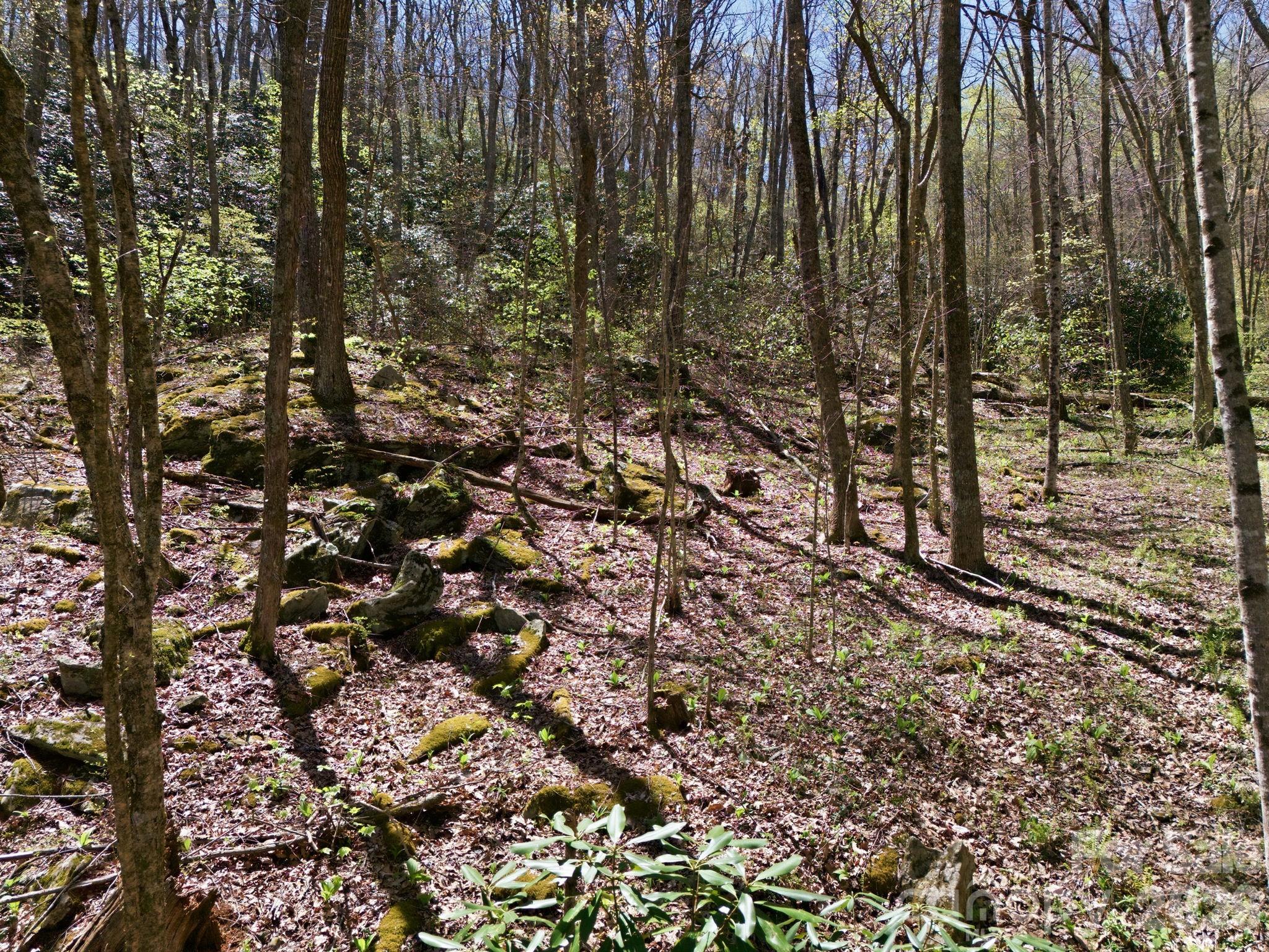 9999 Lytle Cove Road Swannanoa, NC 28778 - Photo 13 of 24