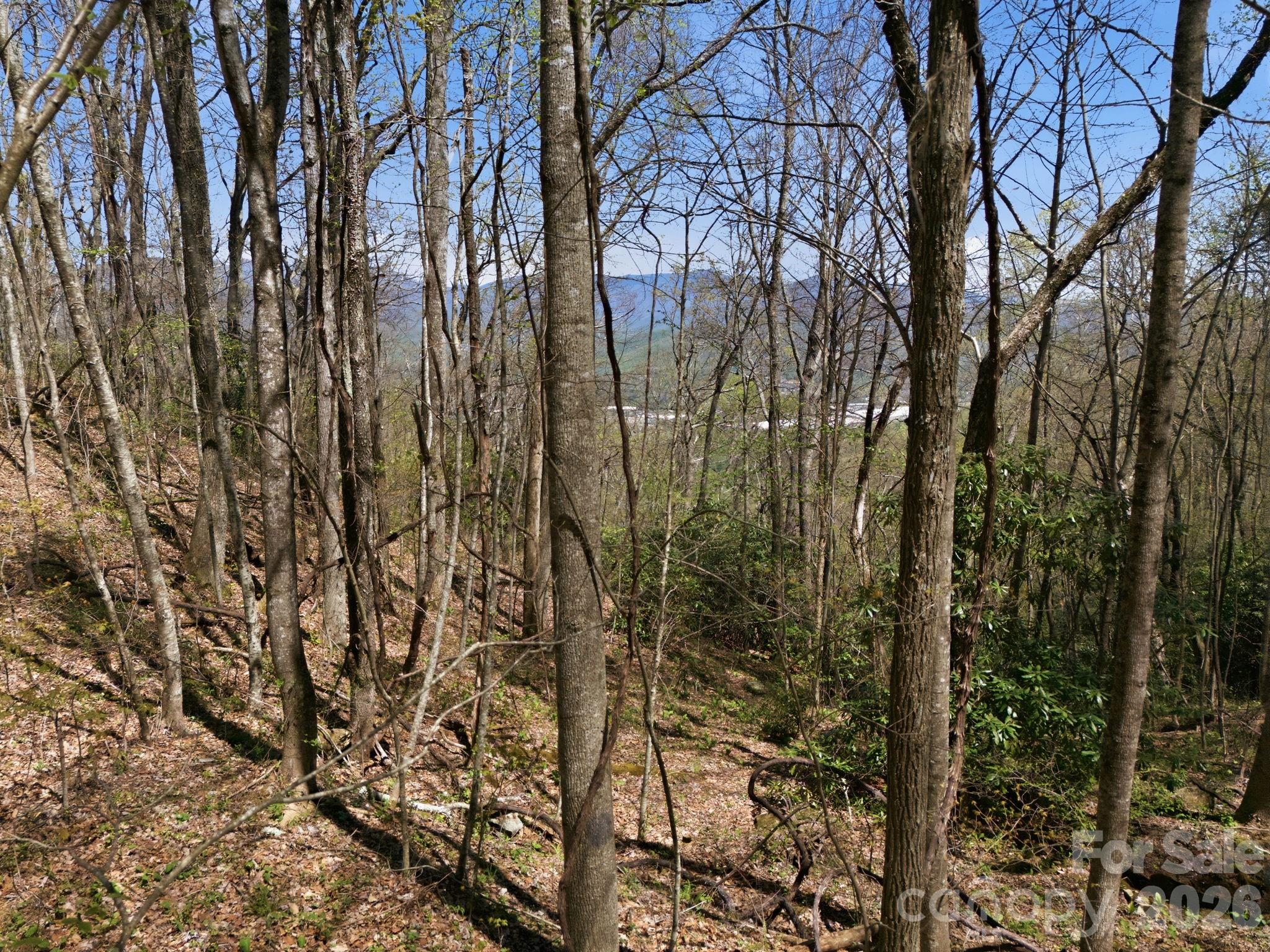 9999 Lytle Cove Road Swannanoa, NC 28778 - Photo 14 of 24