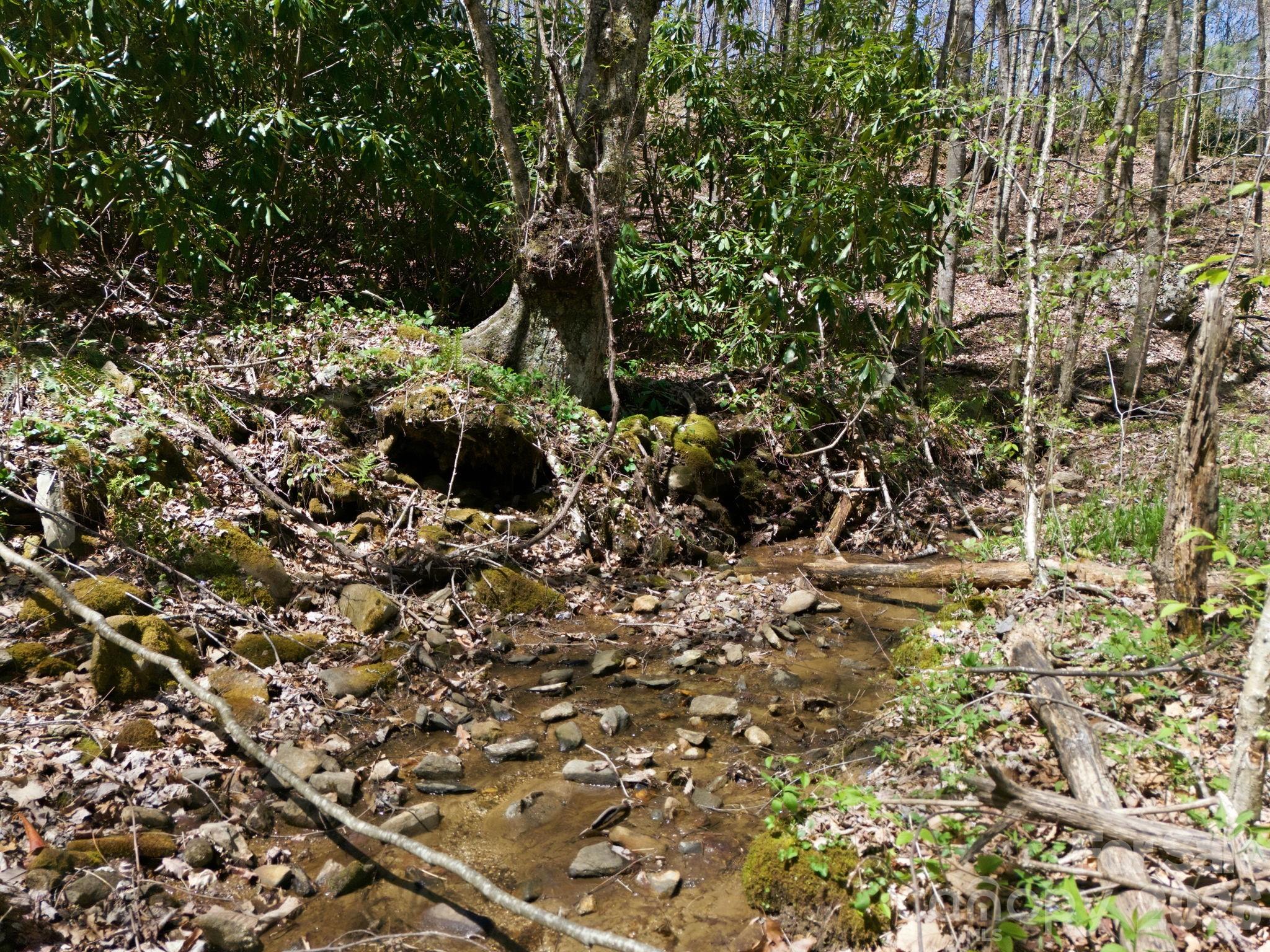 9999 Lytle Cove Road Swannanoa, NC 28778 - Photo 15 of 24