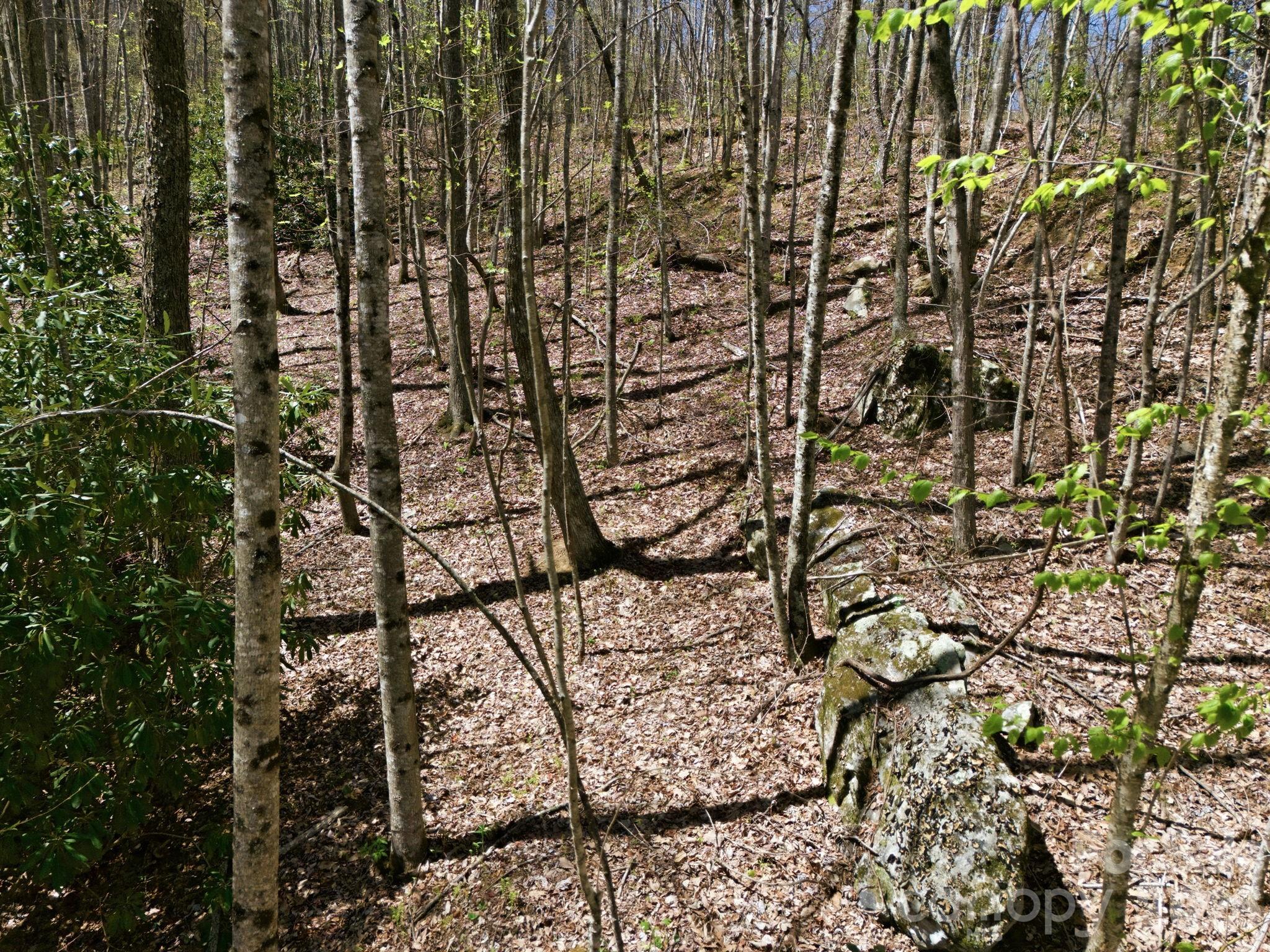 9999 Lytle Cove Road Swannanoa, NC 28778 - Photo 16 of 24