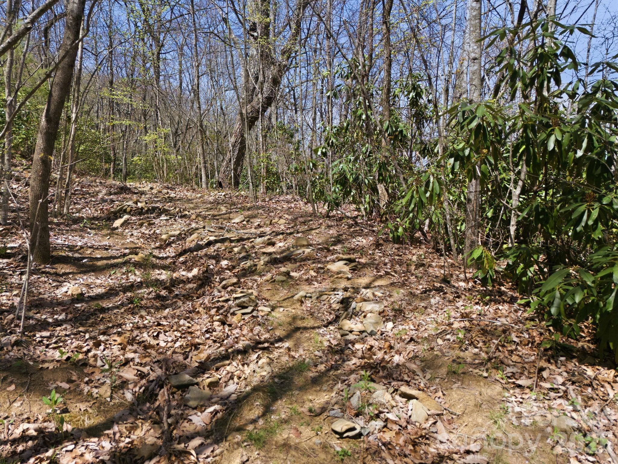 9999 Lytle Cove Road Swannanoa, NC 28778 - Photo 17 of 24