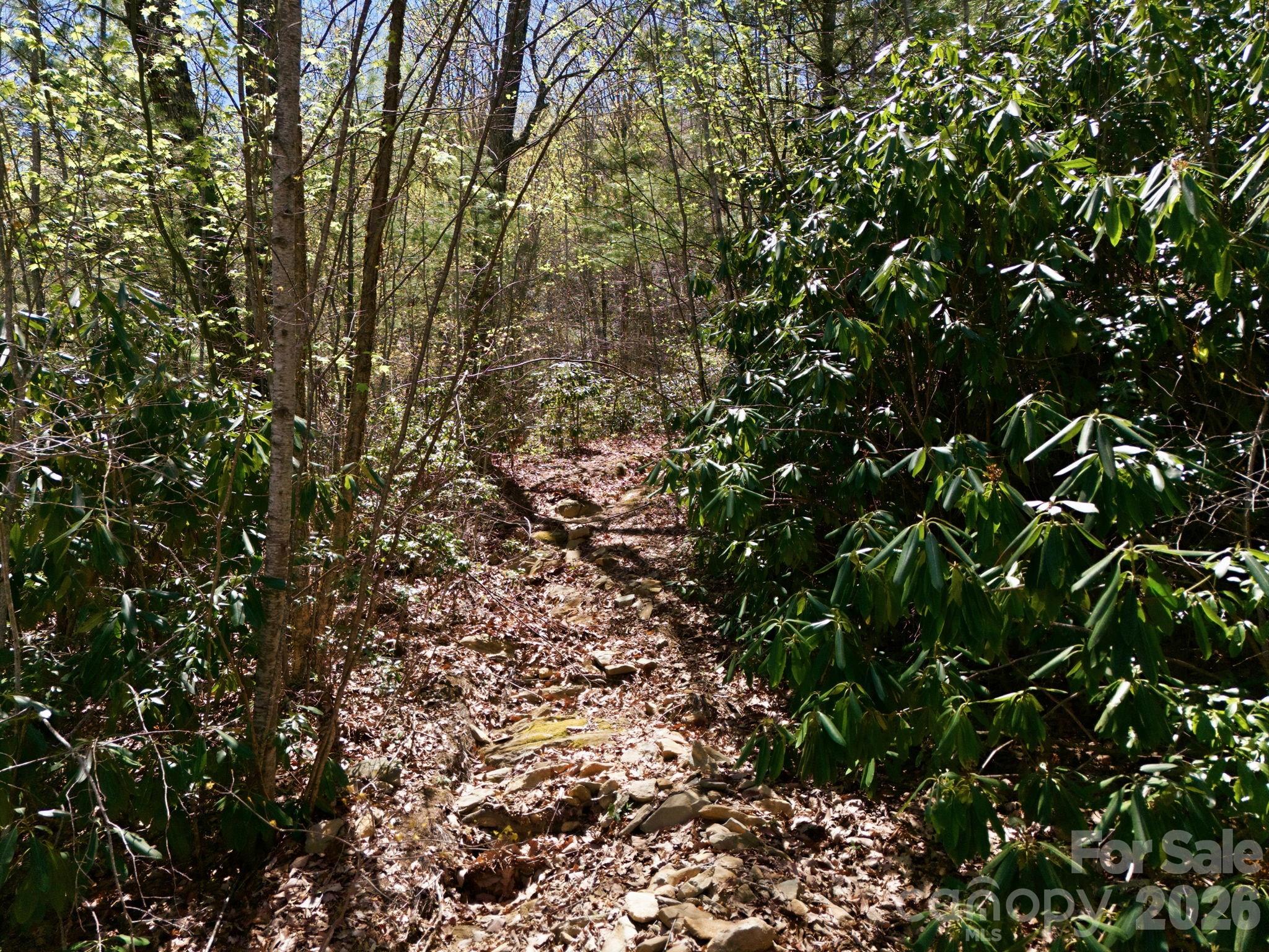 9999 Lytle Cove Road Swannanoa, NC 28778 - Photo 18 of 24