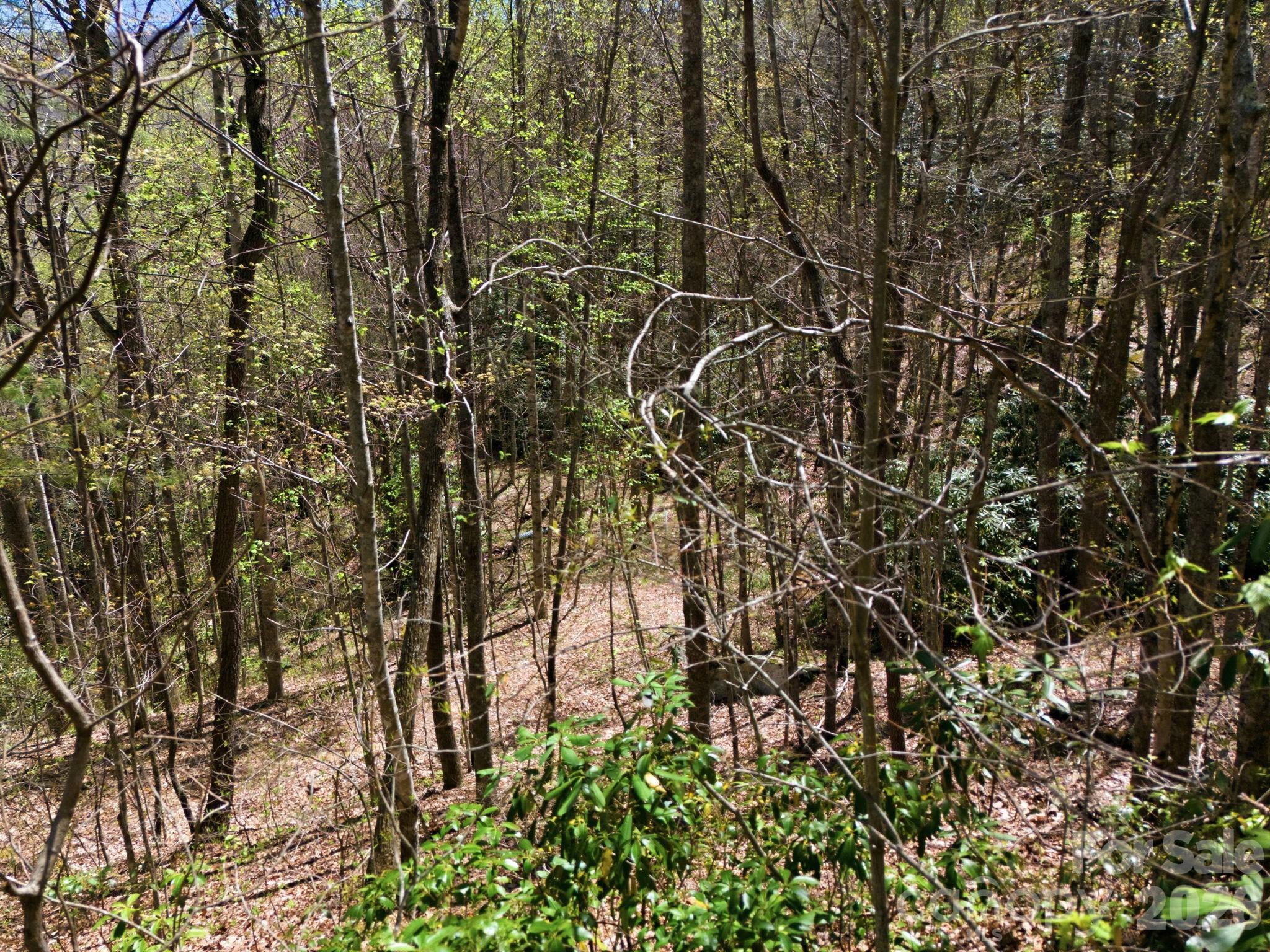 9999 Lytle Cove Road Swannanoa, NC 28778 - Photo 20 of 24