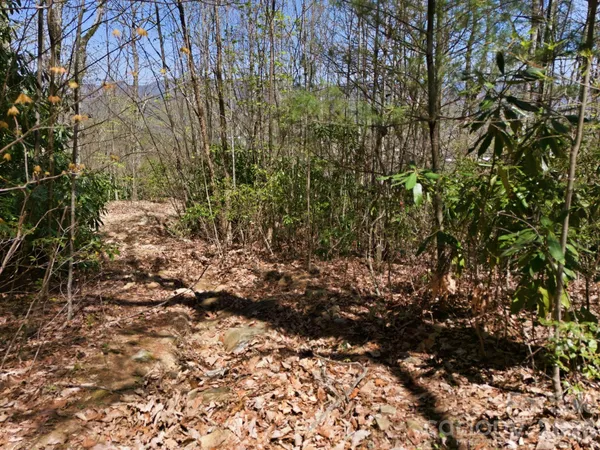 $135,000 | 9999 Lytle Cove Road, Swannanoa, NC 28778