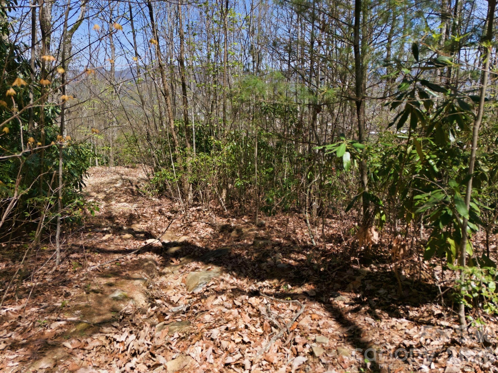 9999 Lytle Cove Road Swannanoa, NC 28778 - Photo 21 of 24