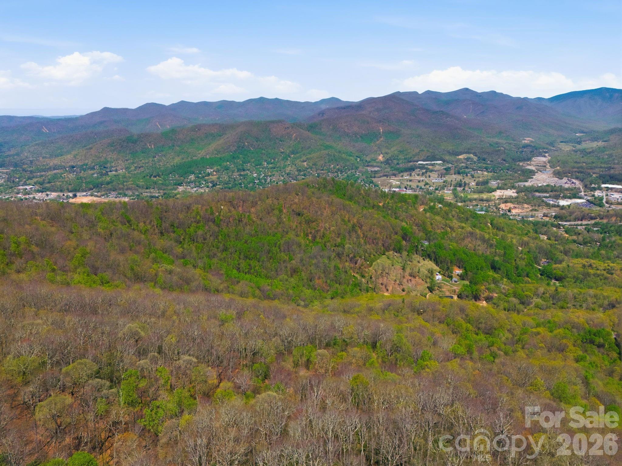 9999 Lytle Cove Road Swannanoa, NC 28778 - Photo 23 of 24