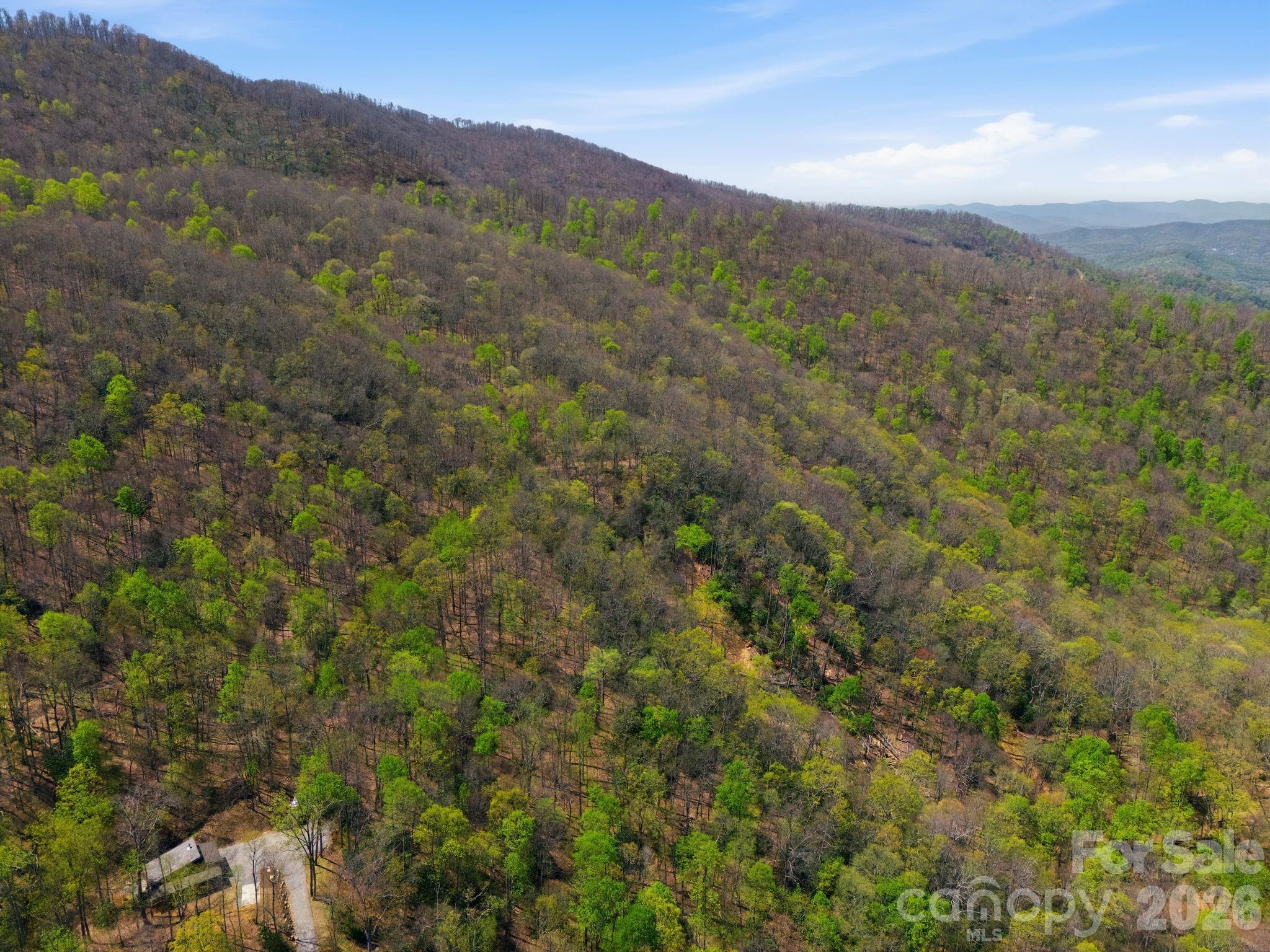 9999 Lytle Cove Road Swannanoa, NC 28778 - Photo 24 of 24