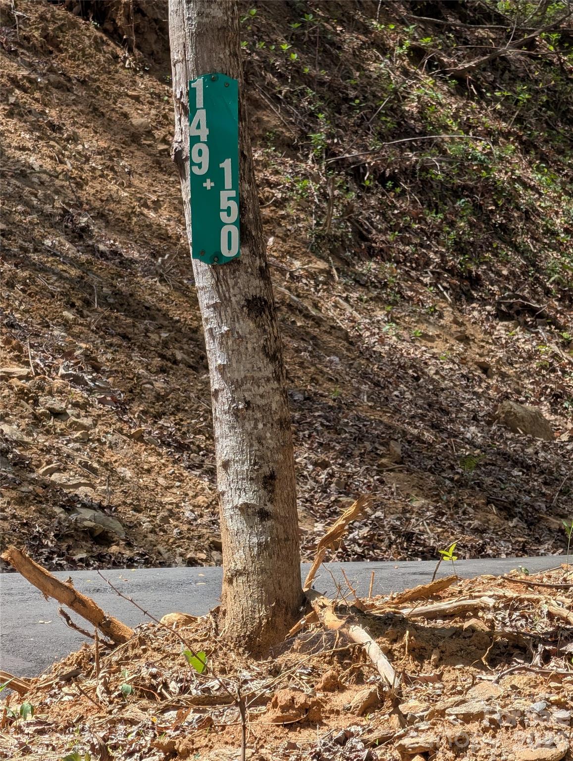 9999 Lytle Cove Road Swannanoa, NC 28778 - Photo 3 of 24