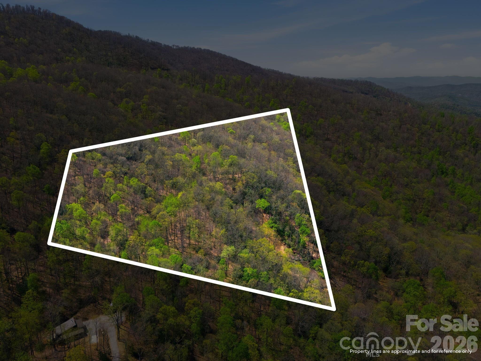 9999 Lytle Cove Road Swannanoa, NC 28778 - Photo 4 of 24