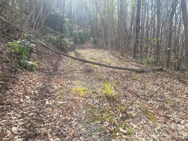 $135,000 | 9999 Lytle Cove Road, Swannanoa, NC 28778