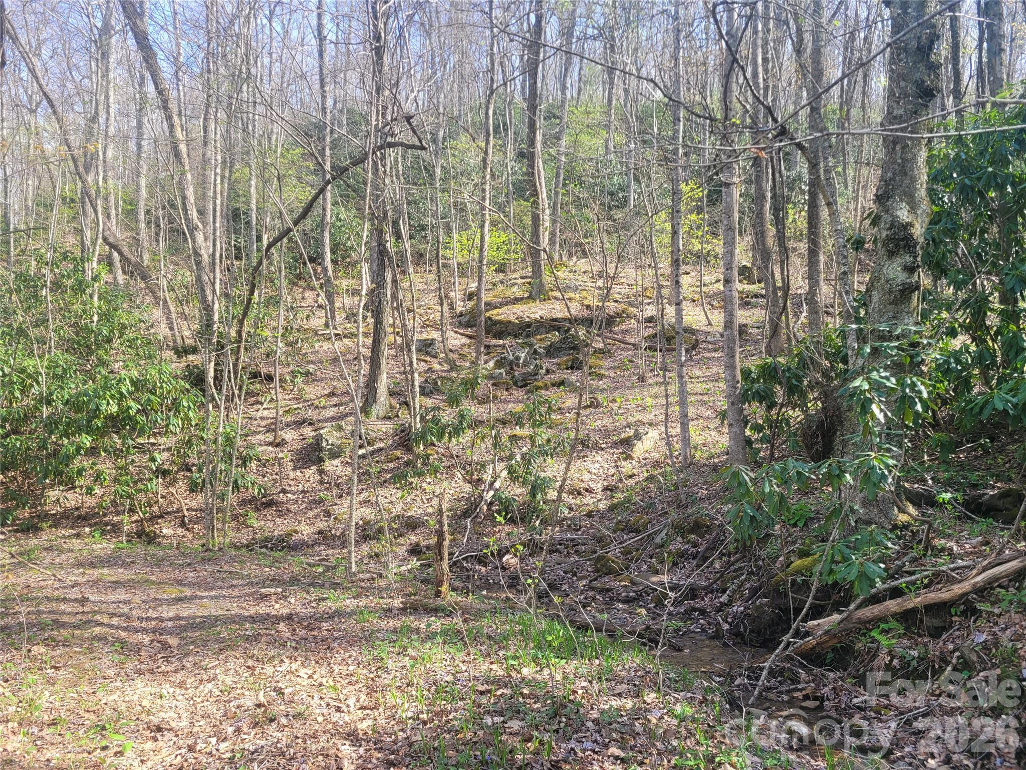 9999 Lytle Cove Road Swannanoa, NC 28778 - Photo 6 of 24