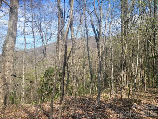 $135,000 | 9999 Lytle Cove Road, Swannanoa, NC 28778