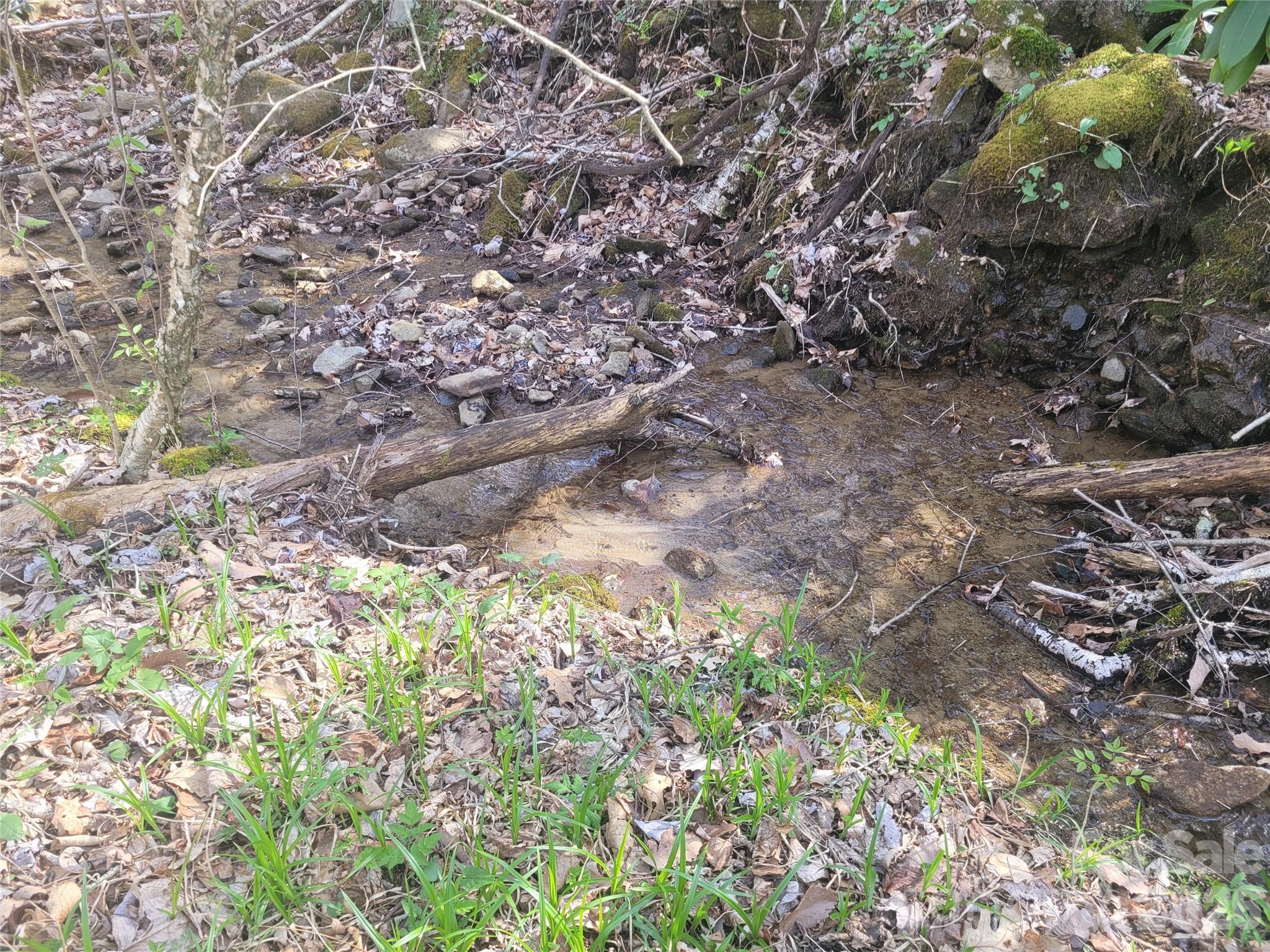 9999 Lytle Cove Road Swannanoa, NC 28778 - Photo 8 of 24