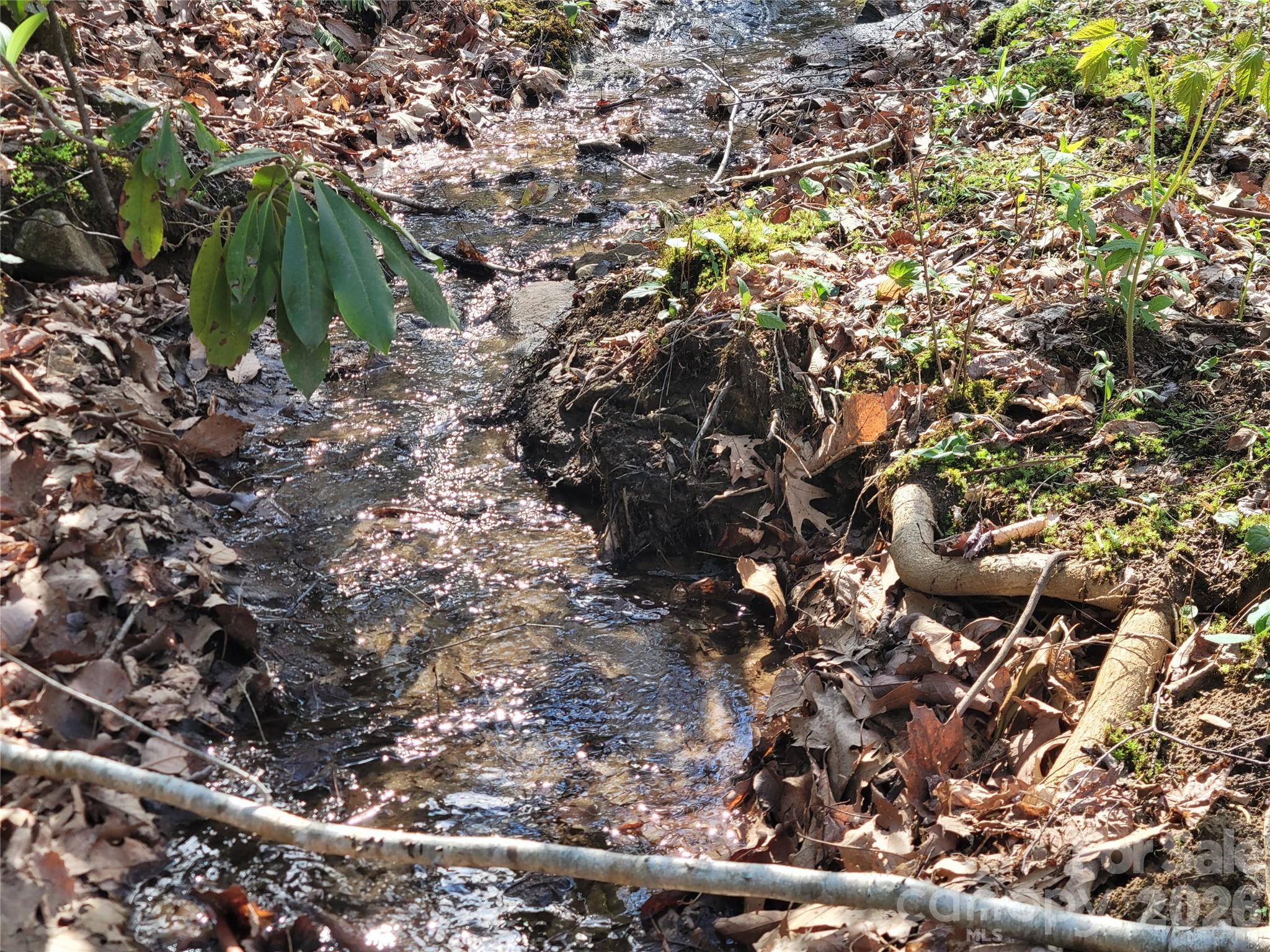 9999 Lytle Cove Road Swannanoa, NC 28778 - Photo 9 of 24