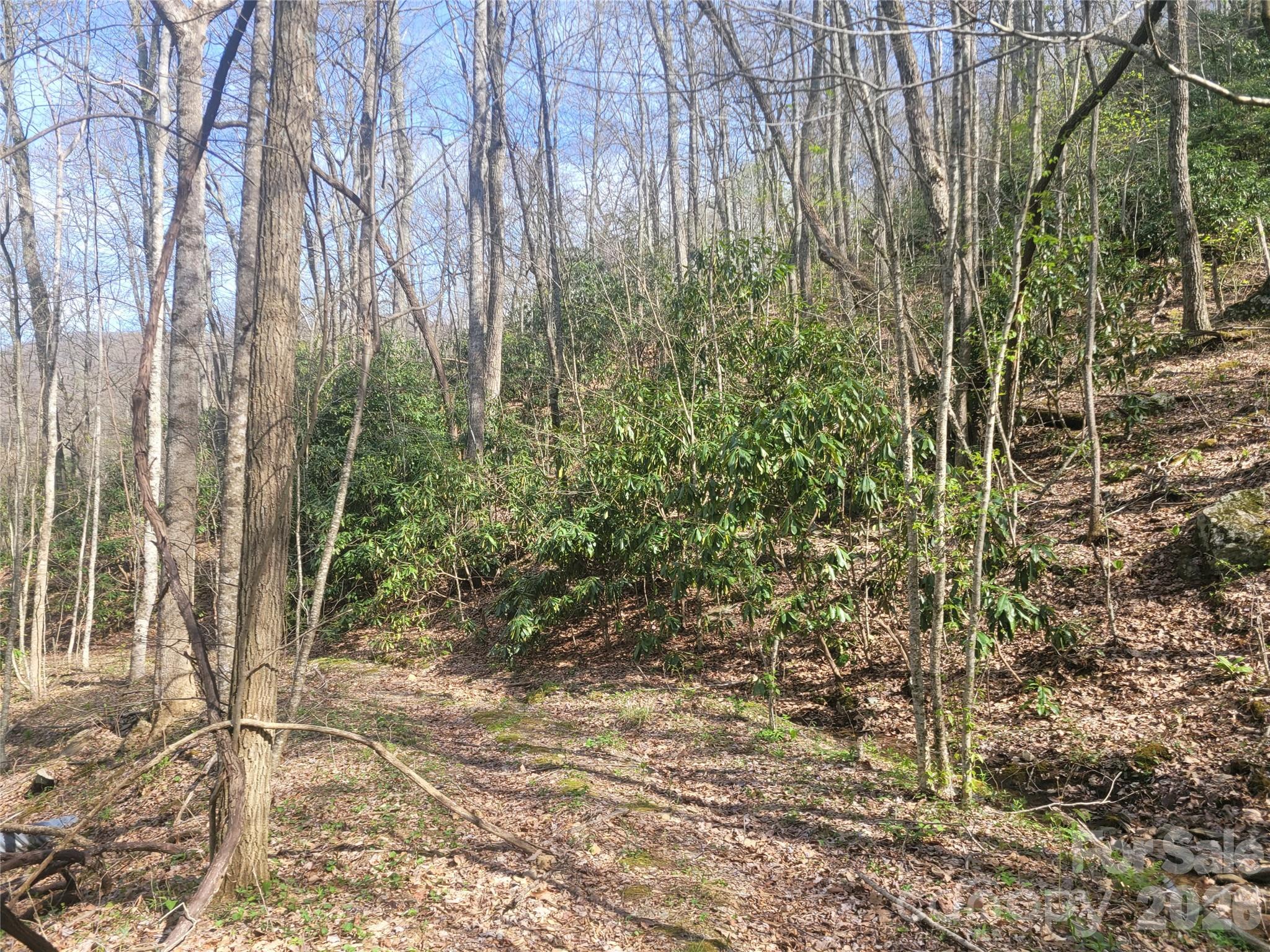 9999 Lytle Cove Road Swannanoa, NC 28778 - Photo 10 of 24