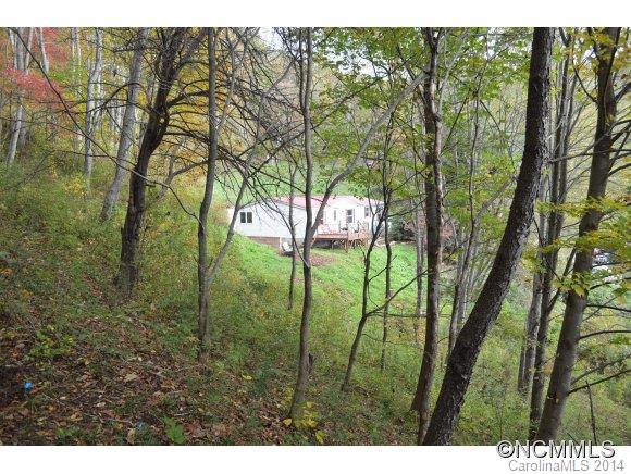 115 Slick Ridge Maggie Valley, NC 28751 - Photo 11 of 24