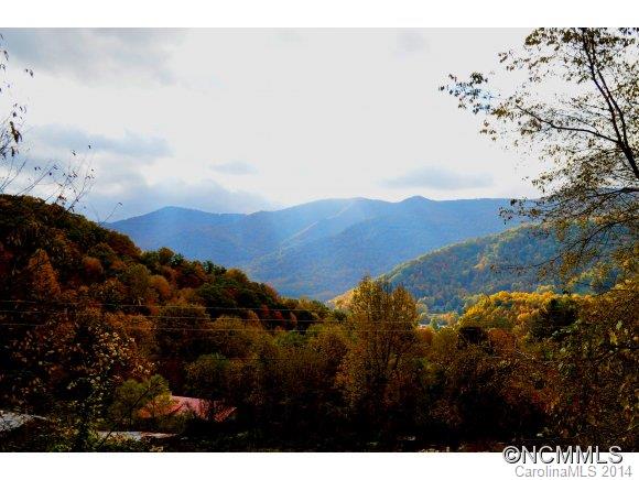 115 Slick Ridge Maggie Valley, NC 28751 - Photo 3 of 24