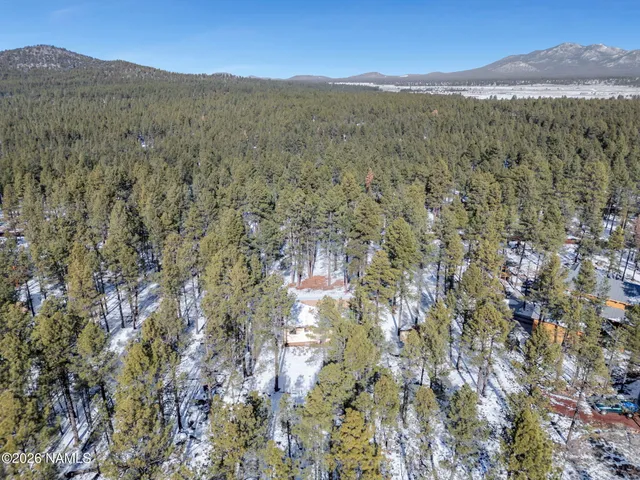 a view of a forest with mountains in the background