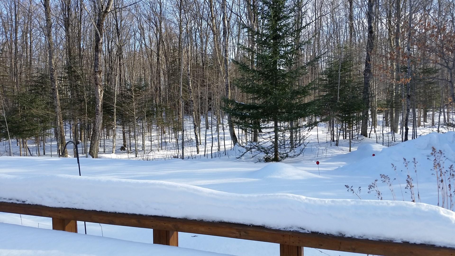 335 Gorman Road St. Ignace, MI 49781 - Photo 22 of 28 Gallery Image 22