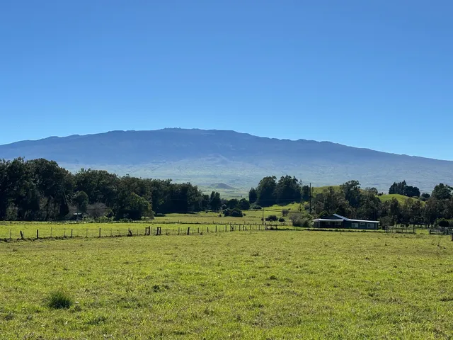 a view of a green field with mountains in the background