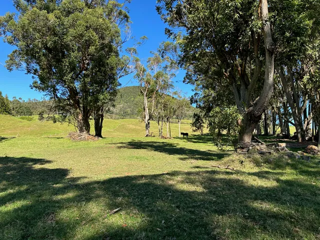 a view of yard with swimming pool and trees
