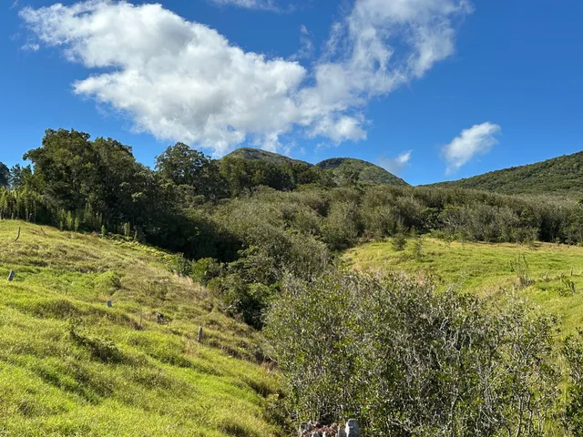 a view of a field with an ocean
