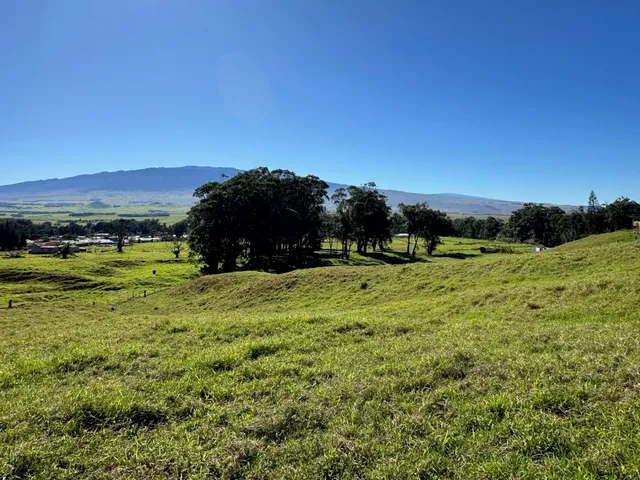 a view of a field with an ocean