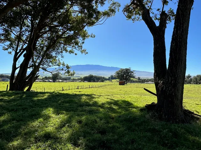 a view of an outdoor space and a lake view