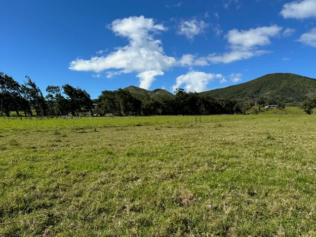 a view of a field with an ocean