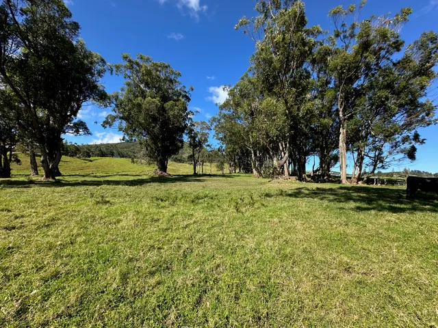 a view of yard with green space