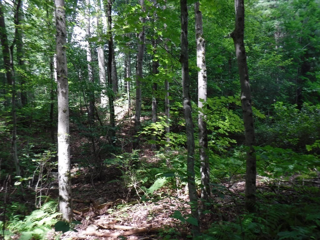 Lot 9 Greenwich Road Ware, MA 01082 - Photo 5 of 12 Gallery Image 5