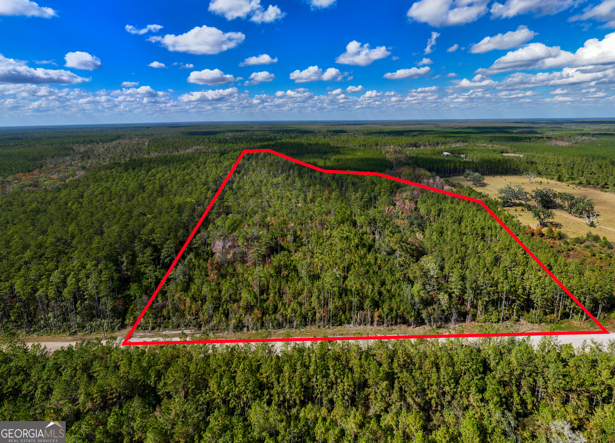 22.57-acres Incachee Road Waverly, GA 31565 - Photo 1 of 1