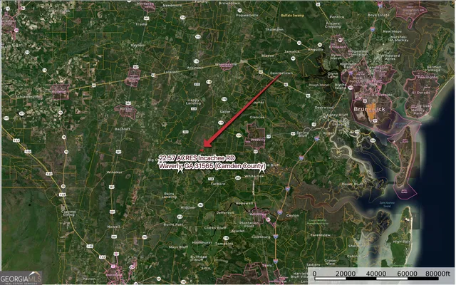 $139,900 | 22.57-acres Incachee Road, Waverly, GA 31565