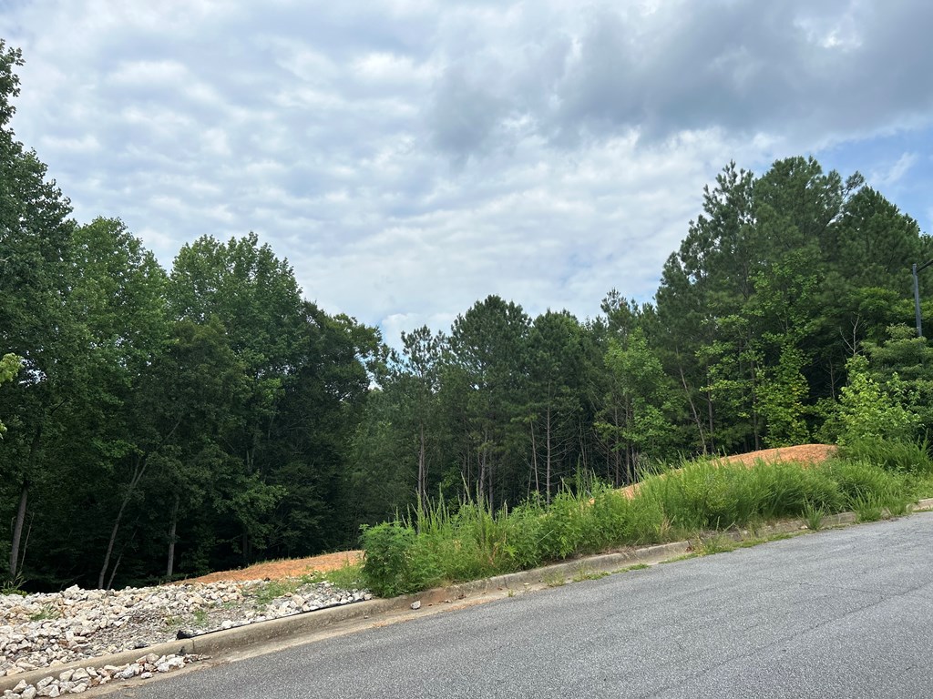 305 Victory Commons Overlook, Unit 10 Acworth, GA 30102 - Photo 4 of 5 Gallery Image 4