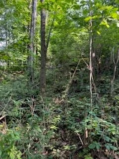 $50,000 | 7908 Park Avenue, Rodney, MI 49342