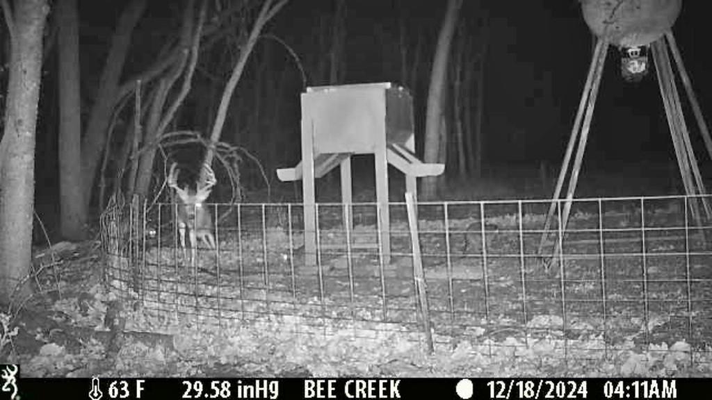 0 Bee Creek Road Maypearl, TX 76064 - Photo 14 of 39