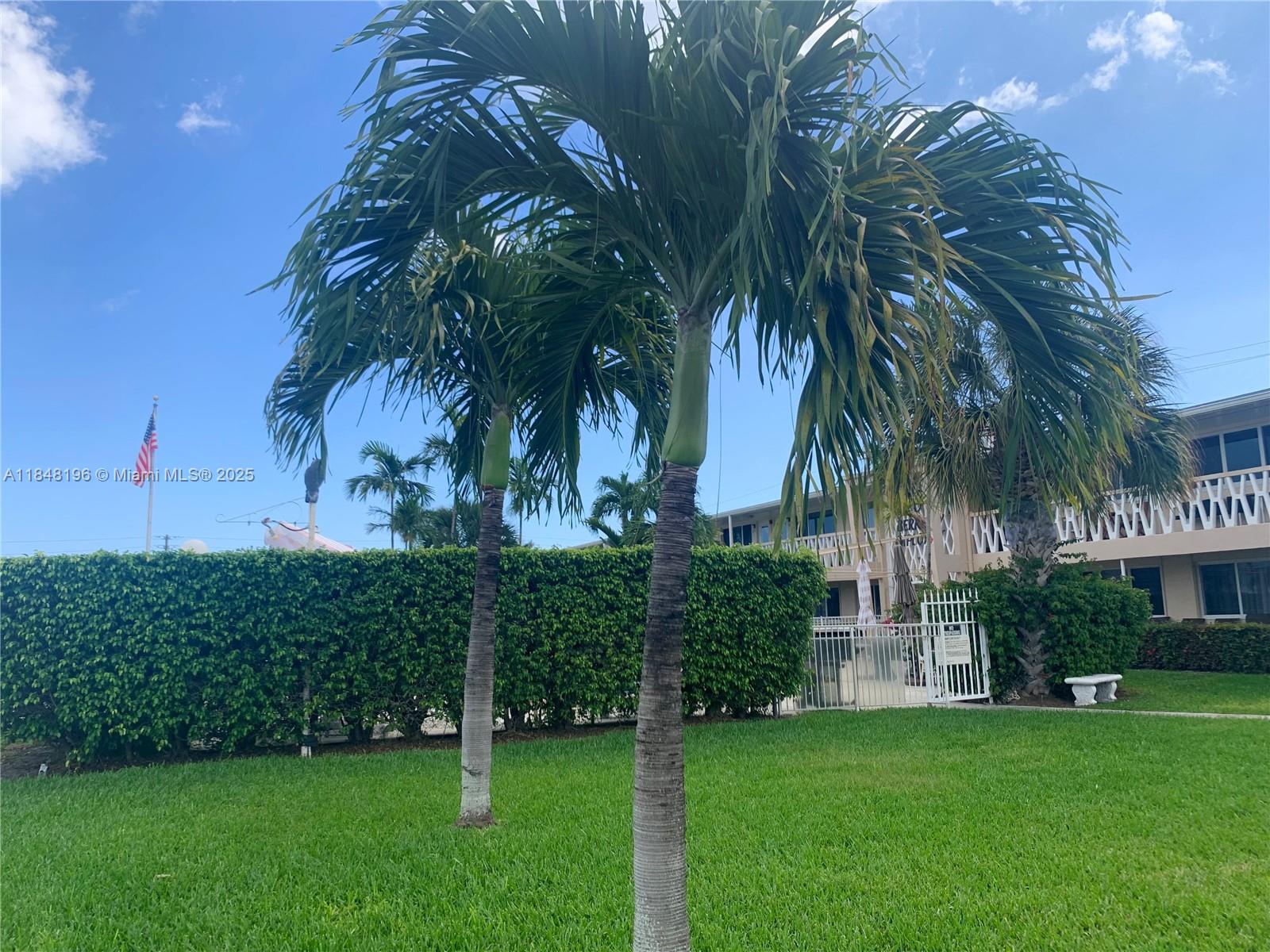900 Atlantic Shores Boulevard, Unit 215 Hallandale Beach, FL 33009 - Photo 43 of 58 a view of a palm trees front of house