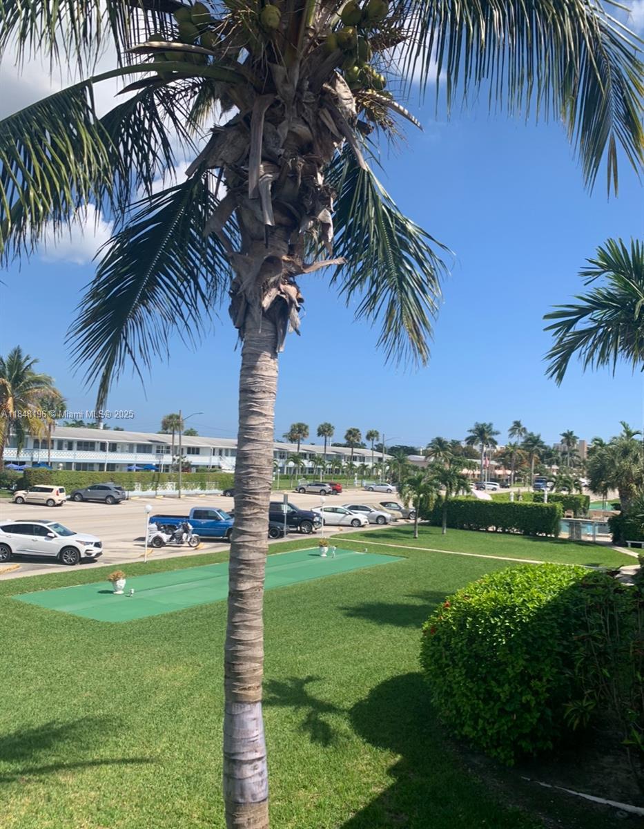 900 Atlantic Shores Boulevard, Unit 215 Hallandale Beach, FL 33009 - Photo 56 of 58 a view of a park with palm trees