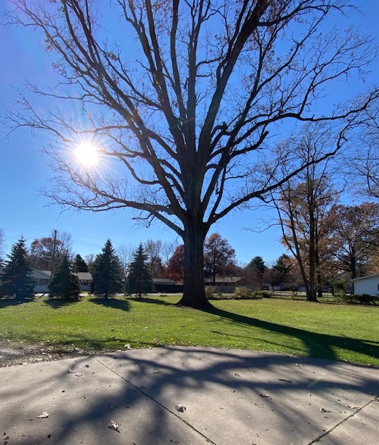 200 North Henson Road Villa Grove, IL 61956 - Photo 145 of 172