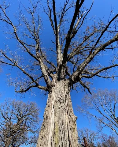 $300,000 | 200 North Henson Road, Villa Grove, IL 61956