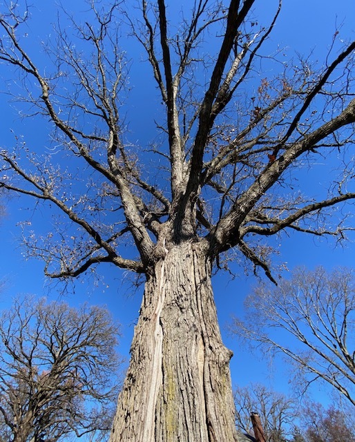 200 North Henson Road Villa Grove, IL 61956 - Photo 146 of 172