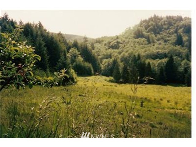 -xx Reinke Road Centralia, WA 98531 - Photo 1 of 1 Gallery Image 1