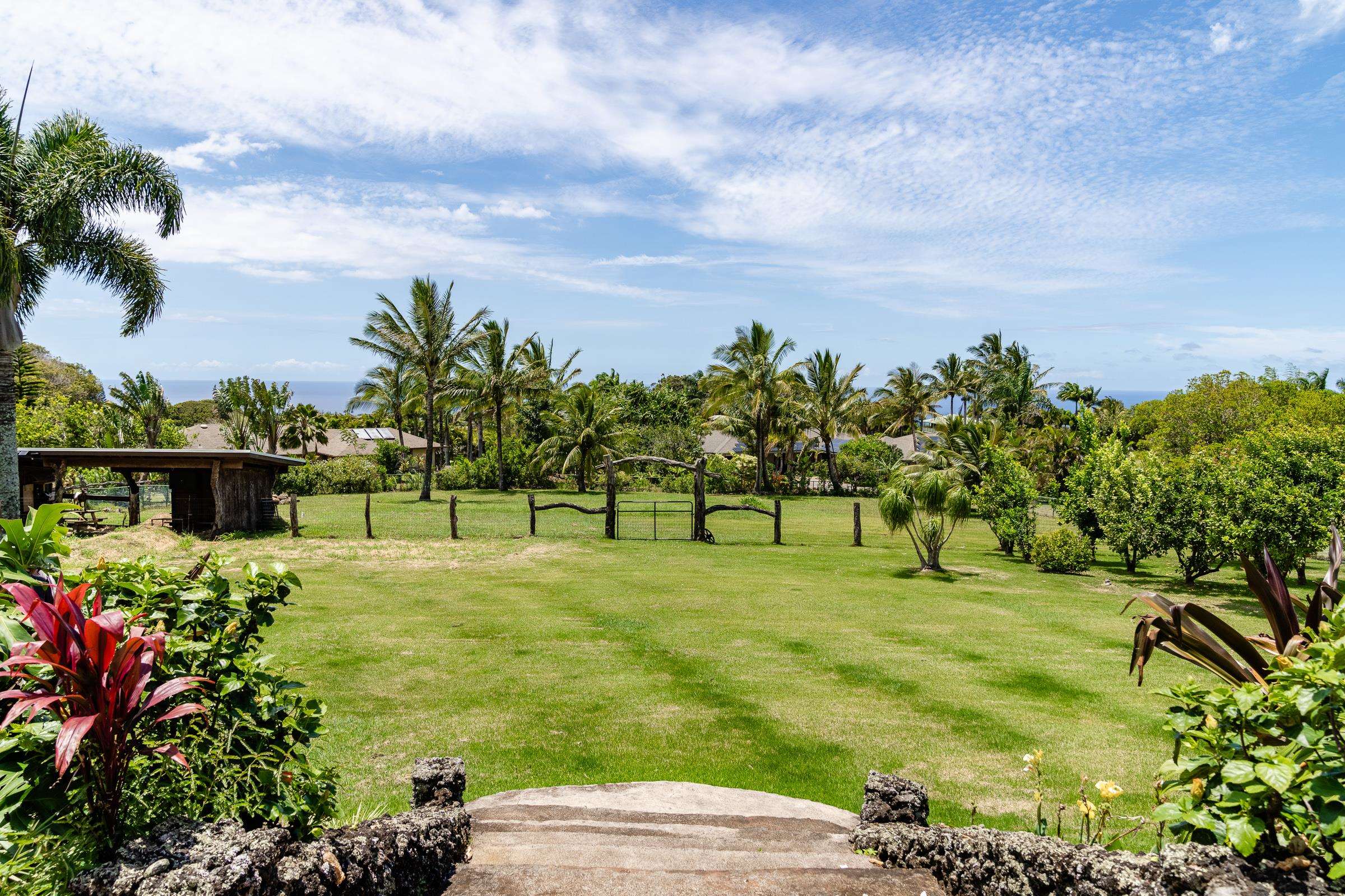 785 West Kuiaha Road Haiku, HI 96708 - Photo 33 of 49 a view of a backyard