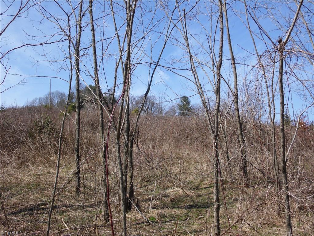 Tbd Brown Road Sparta, NC 28675 - Photo 14 of 19 Gallery Image 14