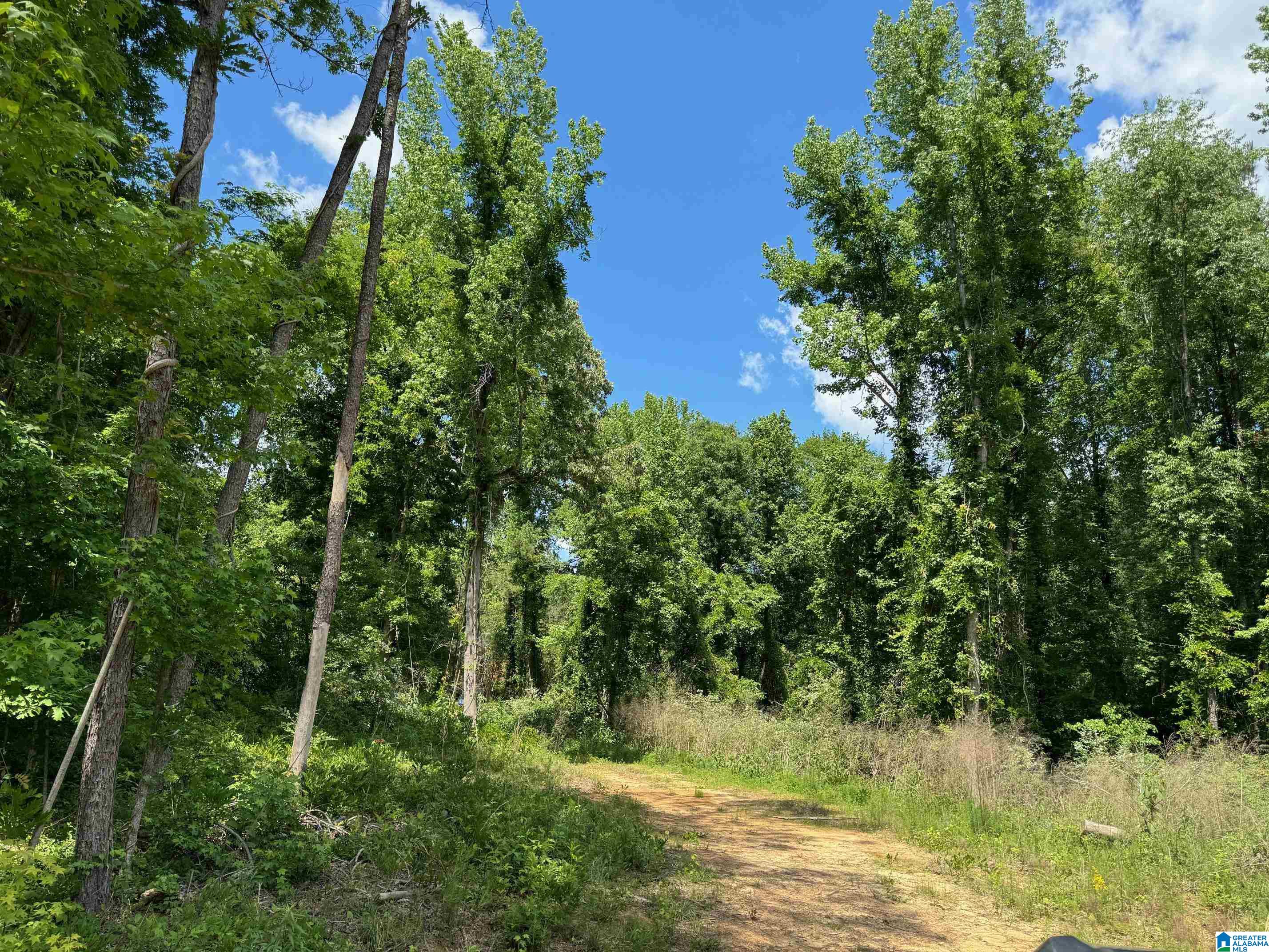 5024 Hollis Goodwin Road Dora, AL 35062 - Photo 3 of 5