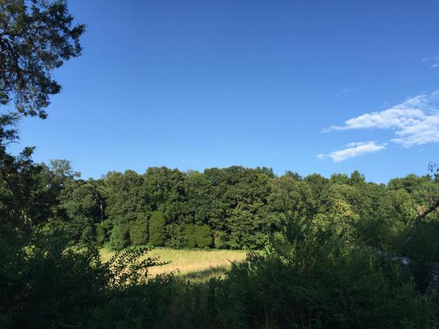 816 Cedar Grove Road Loudon, TN 37774 - Photo 1 of 4 20160726202948783129000000-o