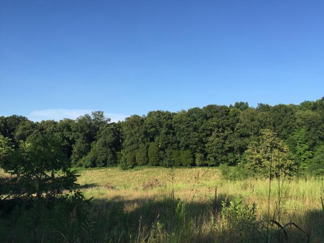 816 Cedar Grove Road Loudon, TN 37774 - Photo 2 of 4 20160726203007947037000000-o